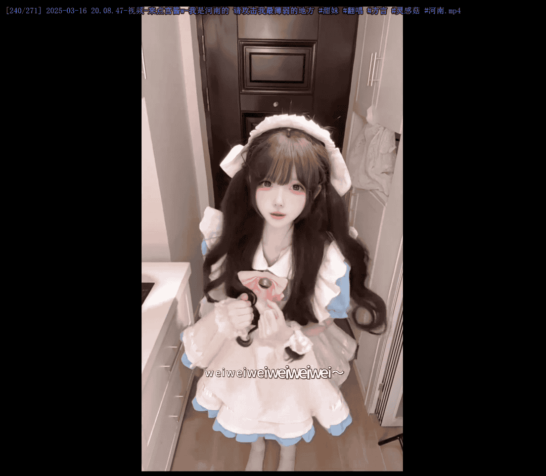 【独家4K60帧】 🔥来点宫酱w（河南萌妹）🔥 美女动态舞蹈壁纸B站/抖音/快手知名博主视频274个合集 6.7GB