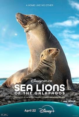 海狮利奥环岛记 Sea Lions of the Galápagos
