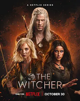 点击看更多海报 The Witcher